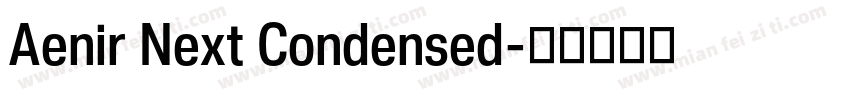 Aenir Next Condensed字体转换